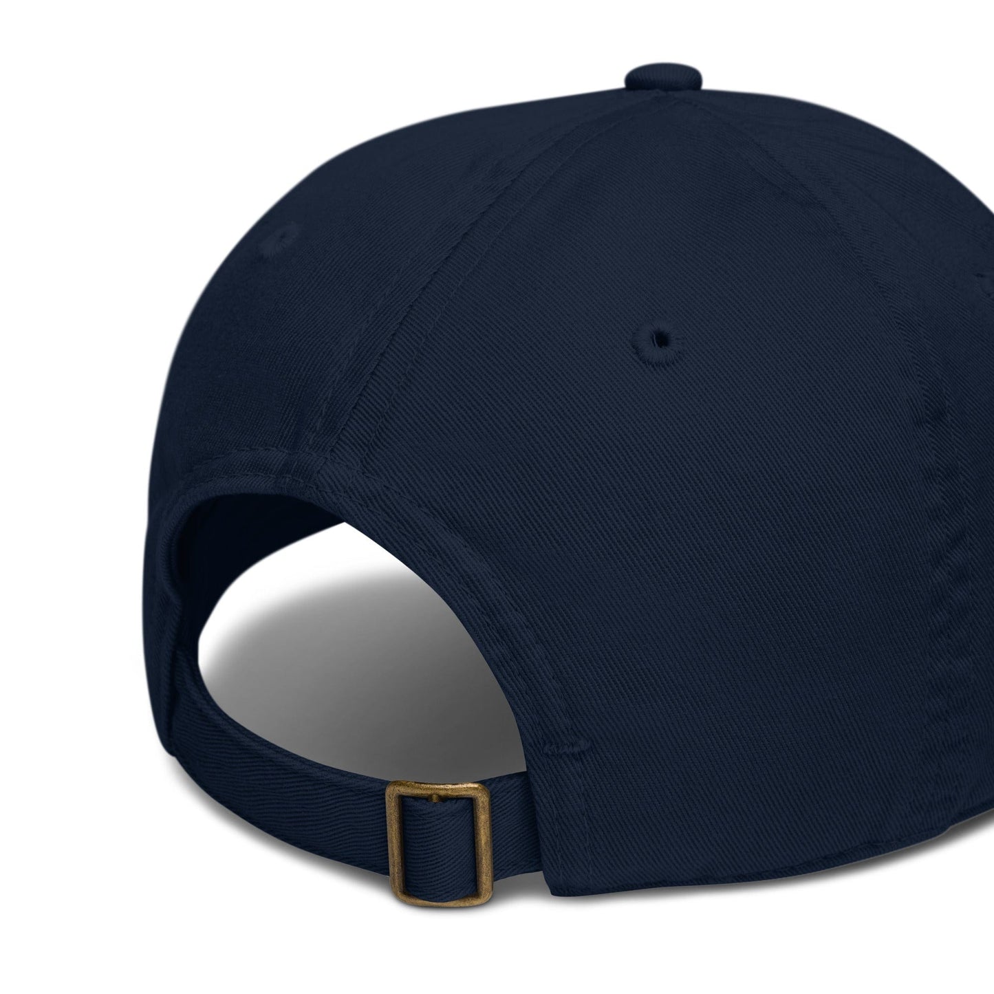 Journey of Becoming Organic dad hat
