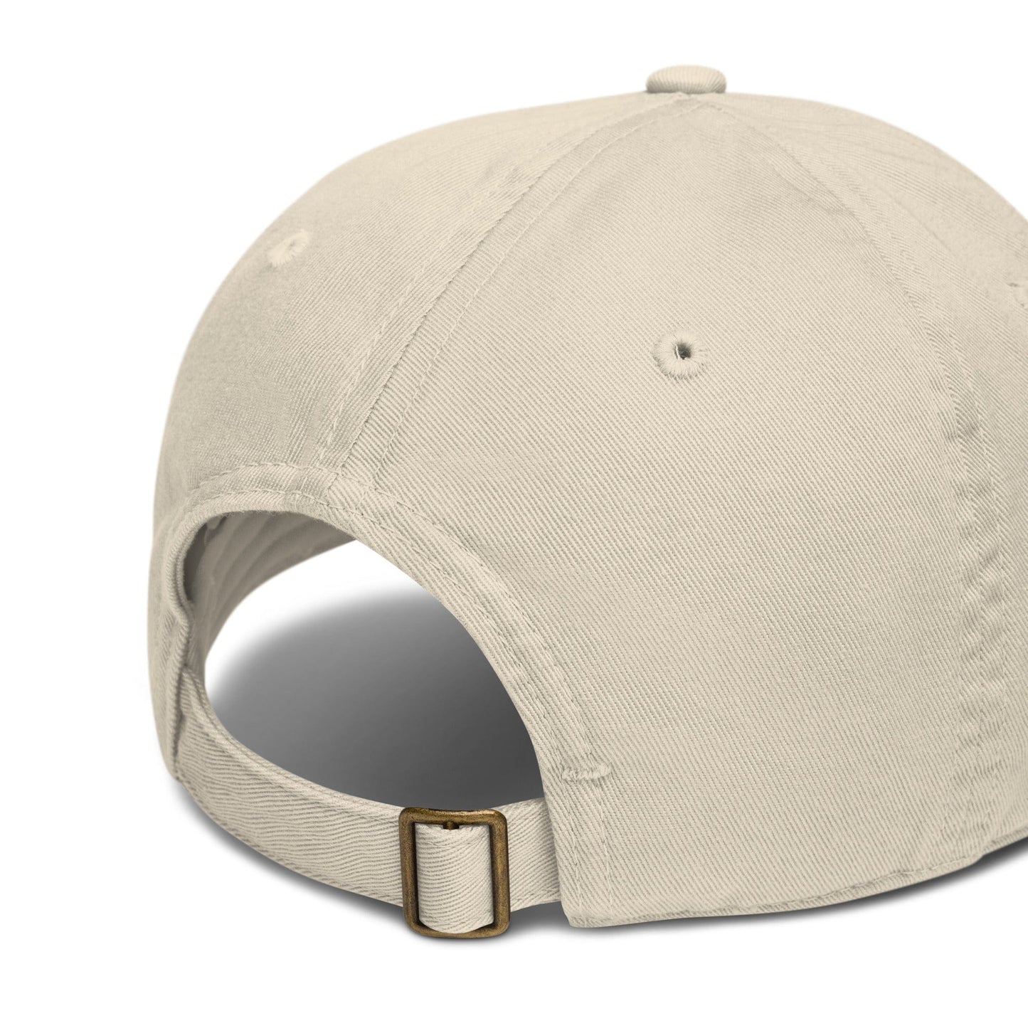 Journey of Becoming Organic dad hat