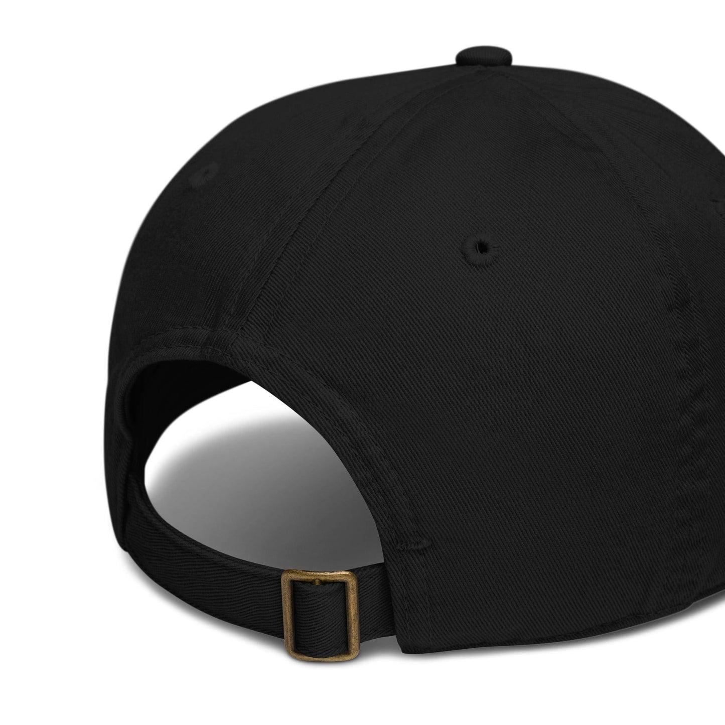 Journey of Becoming Organic dad hat