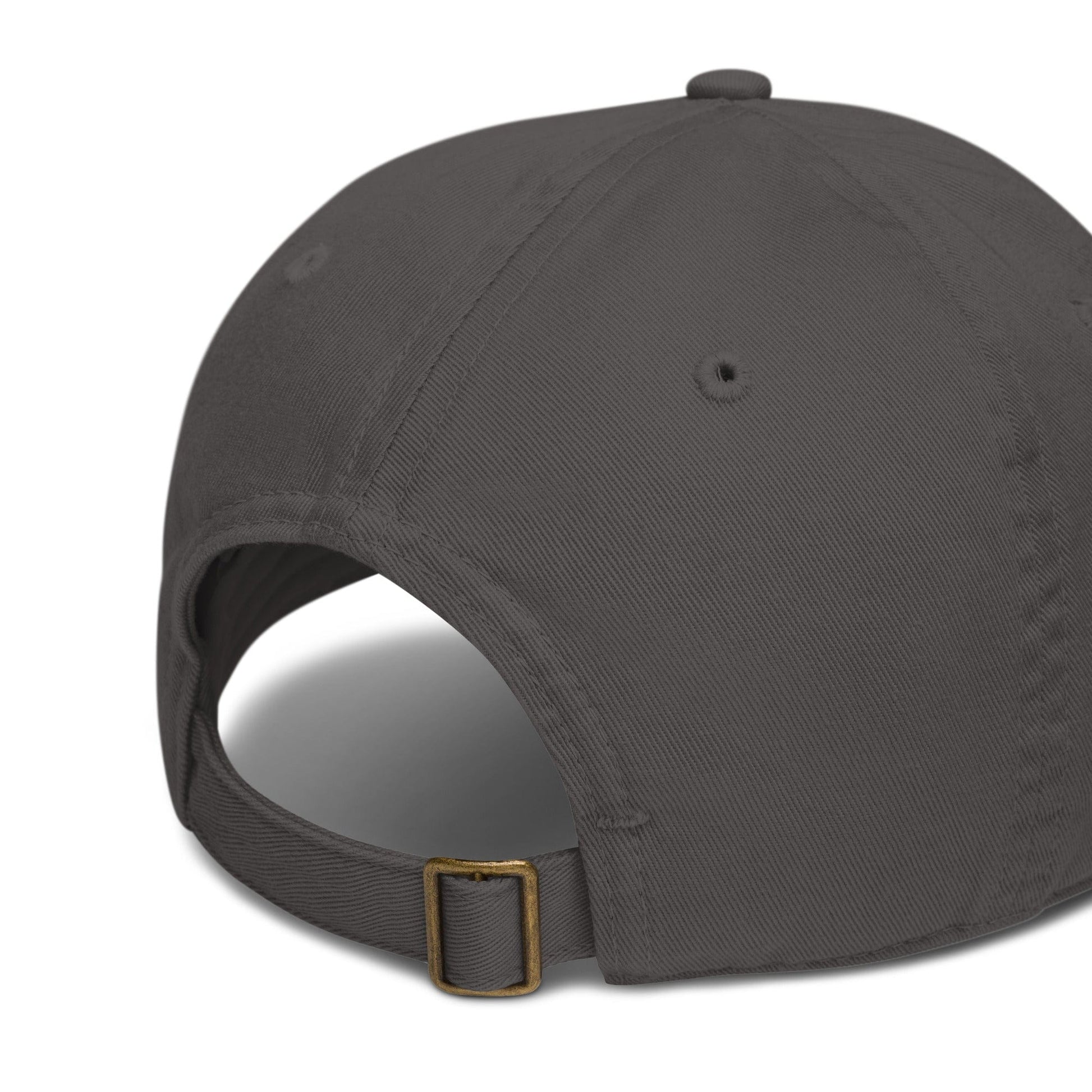 Journey of Becoming Organic dad hat
